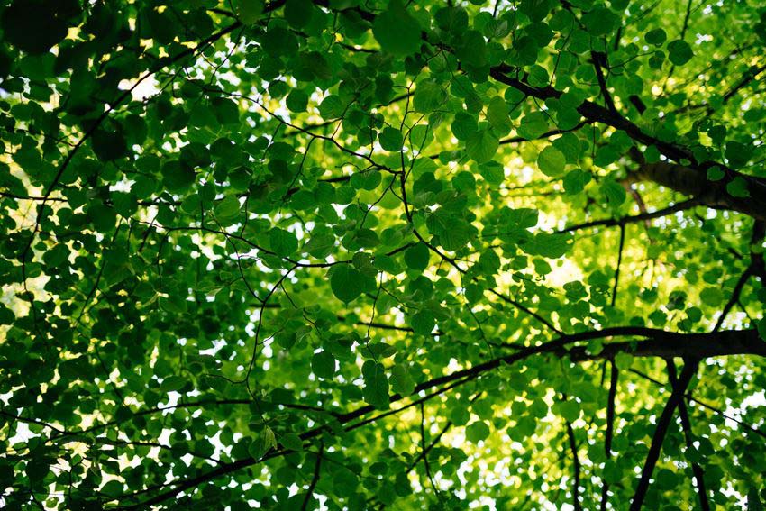 #YITzrównoważonemiasta