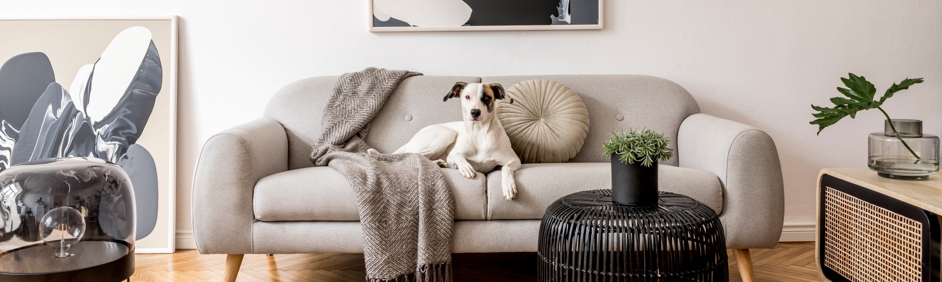 Sztuka wypoczywania: Jak urządzić strefę relaksu dla całej rodziny?