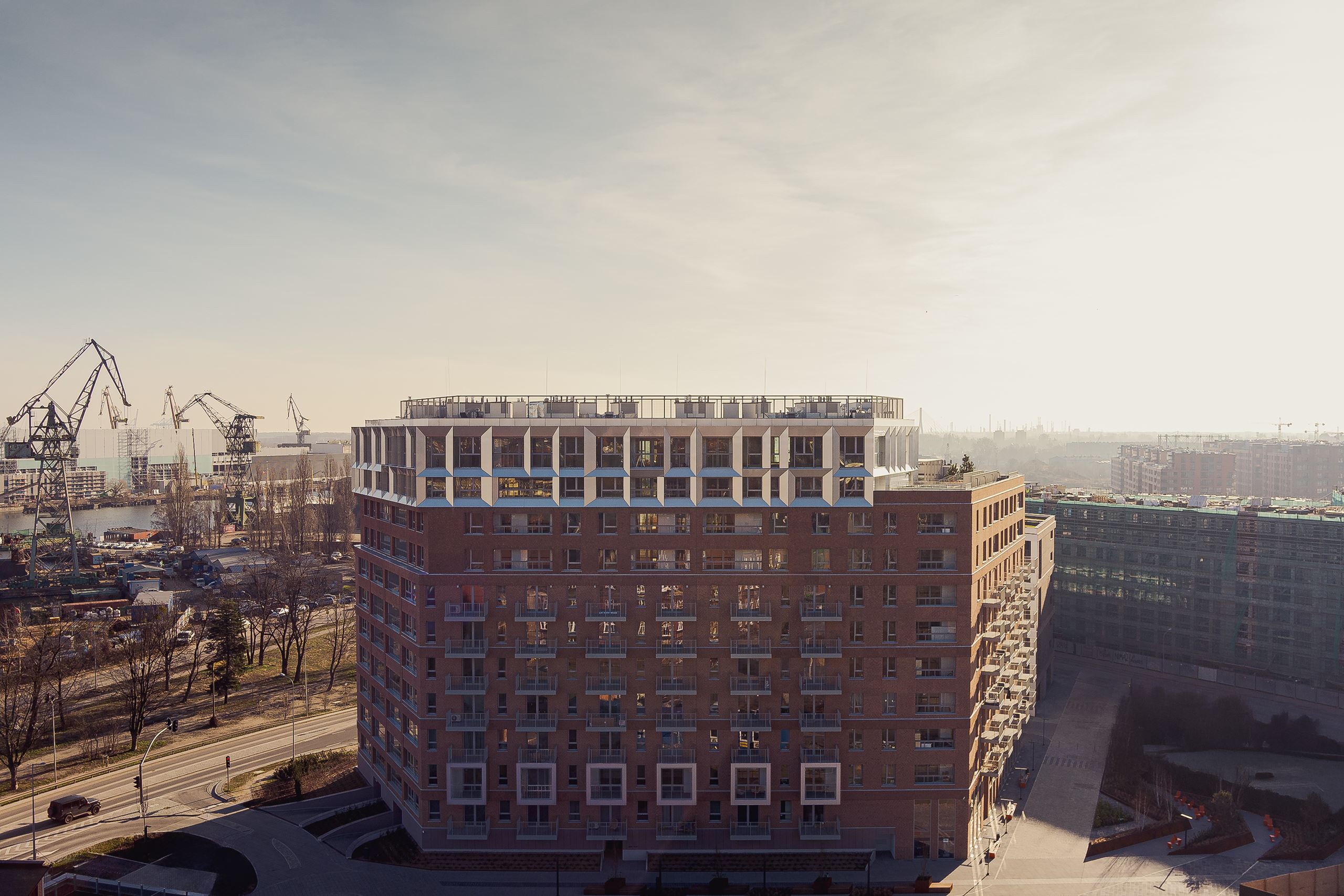 Żurawie_zdjęcia (1).jpg